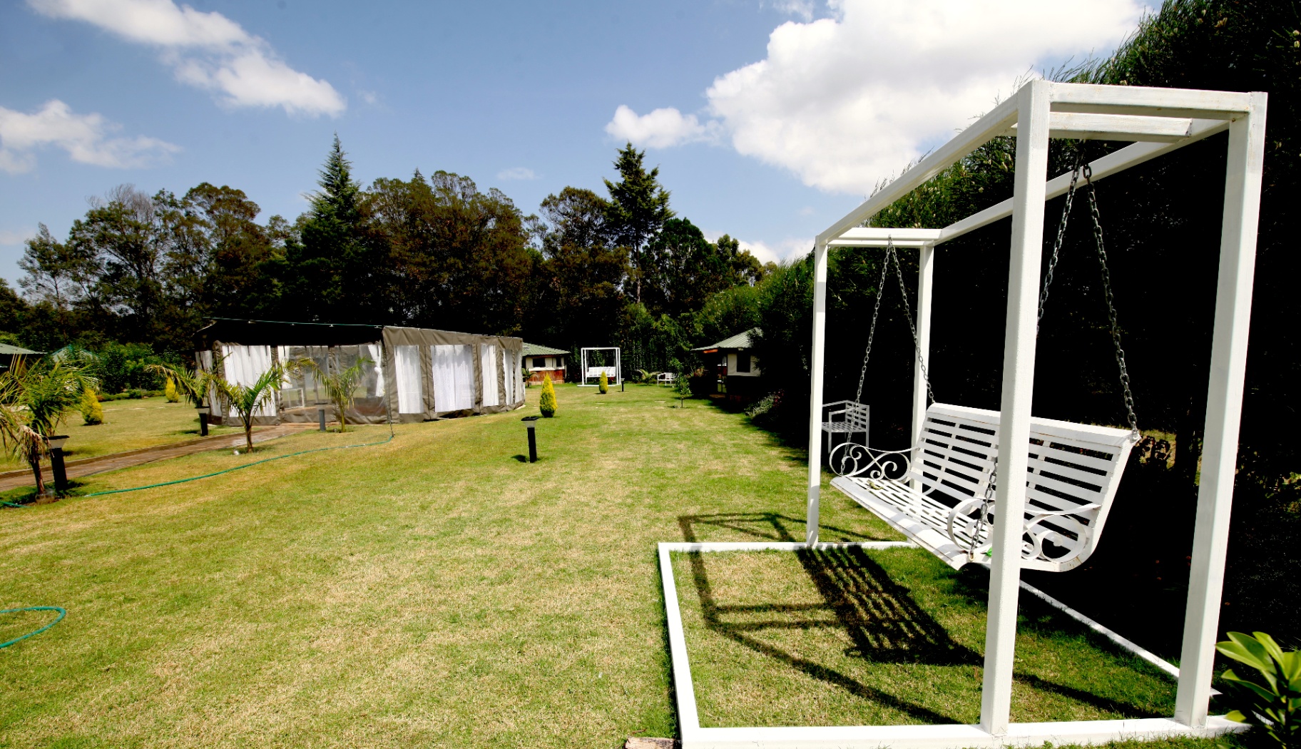 Garden swing on the lawn